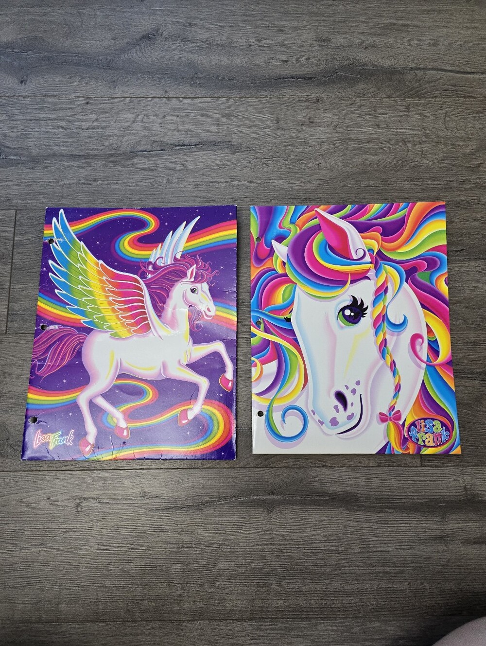 Lisa Frank 2000 & 2002 Folders Lot Of 2